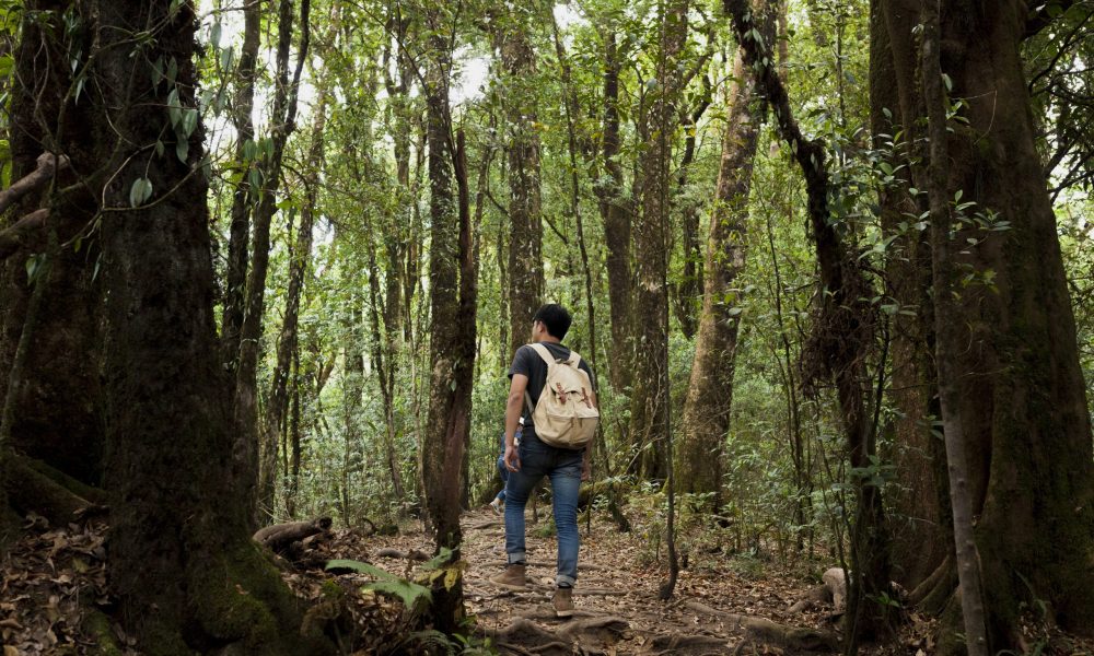hiker-with-backpack-forest